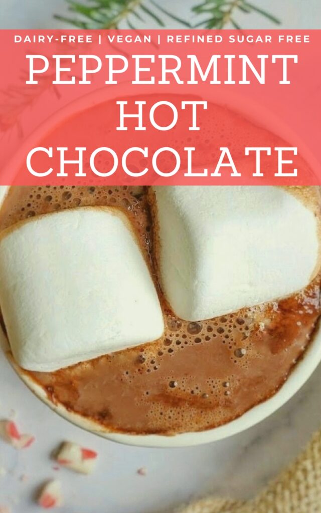 dairy free Peppermint Hot Chocolate Recipe