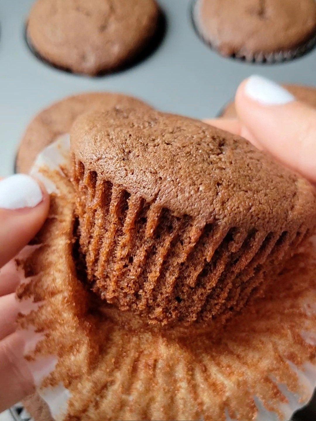 best gluten free chocolate cupcake recipe