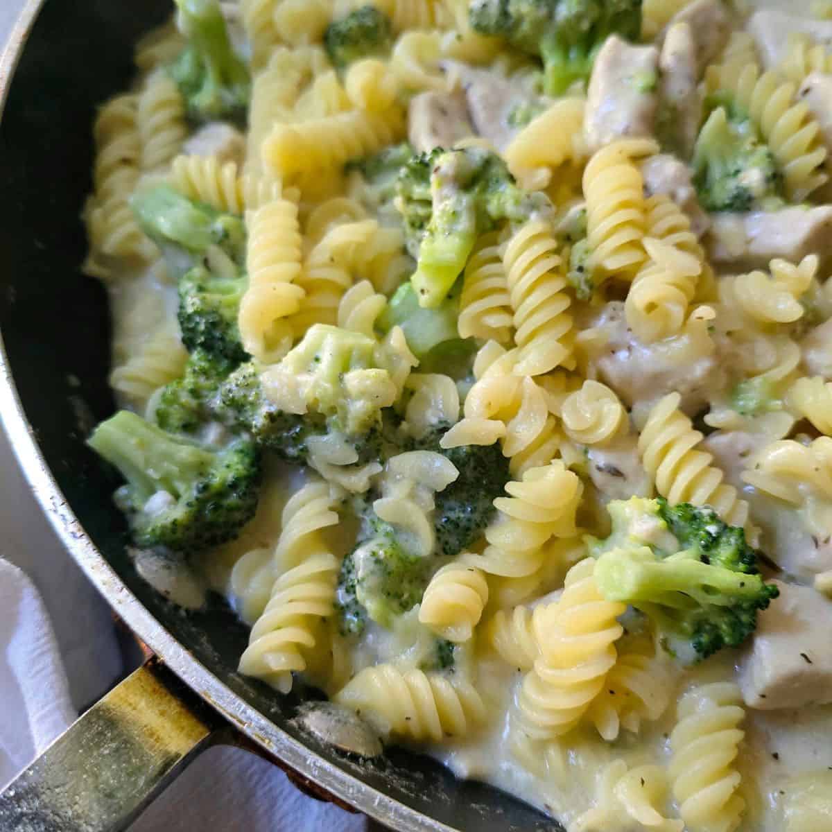 one pot chicken alfredo with broccoli and gluten free pasta