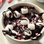 gluten free chocolate mug cake recipe